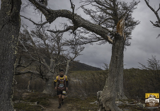 Foto: Alejandro Zoñez