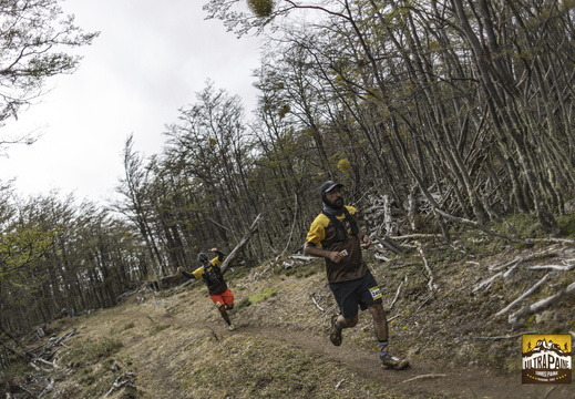 Foto: Alejandro Zoñez