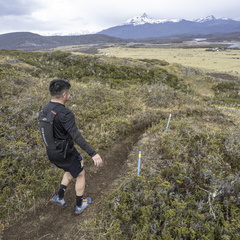 Foto: Alejandro Zoñez