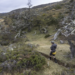 Foto: Alejandro Zoñez