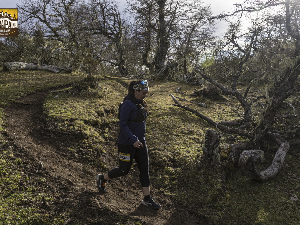 Foto: Alejandro Zoñez