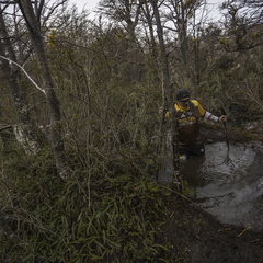 Foto: Alejandro Zoñez