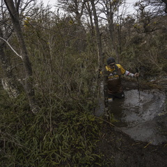 Foto: Alejandro Zoñez