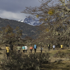 Foto: Alejandro Zoñez