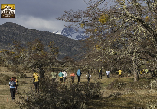 Foto: Alejandro Zoñez