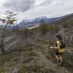 Foto: Alejandro Zoñez