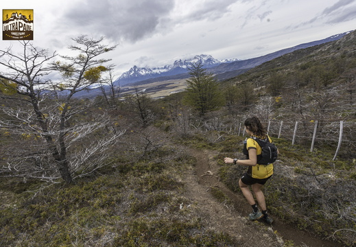 Foto: Alejandro Zoñez