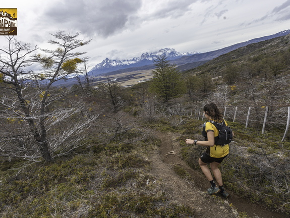 Foto: Alejandro Zoñez