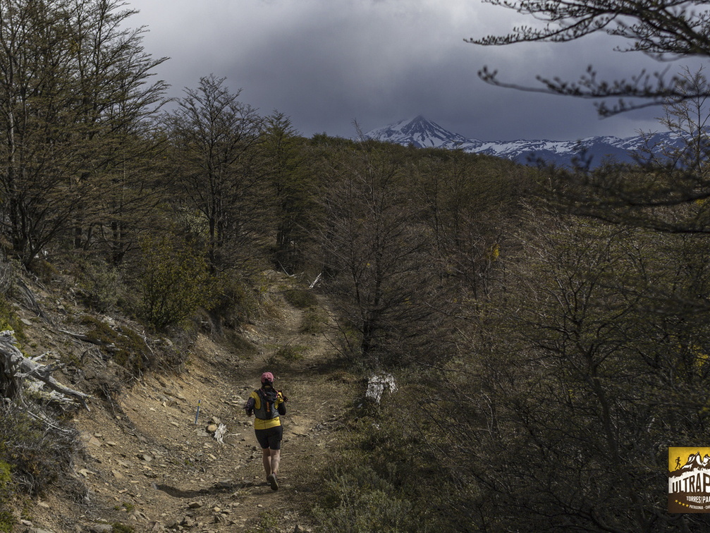 Foto: Alejandro Zoñez