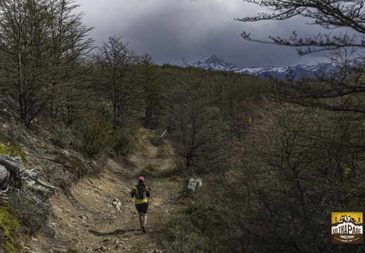 Foto: Alejandro Zoñez