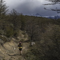 utp2509-alzo-7635.jpg