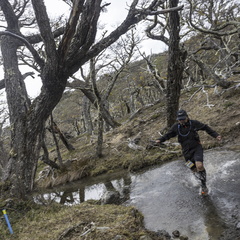 Foto: Alejandro Zoñez