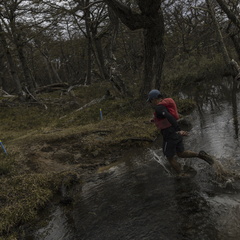 Foto: Alejandro Zoñez