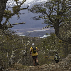 Foto: Alejandro Zoñez