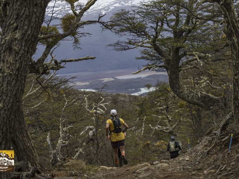 Foto: Alejandro Zoñez