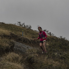 Foto: Alejandro Zoñez