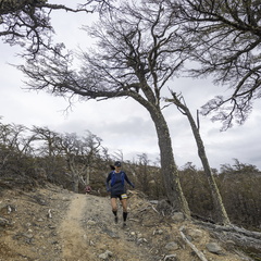 Foto: Alejandro Zoñez