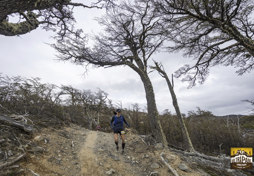 Foto: Alejandro Zoñez