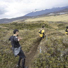 Foto: Alejandro Zoñez