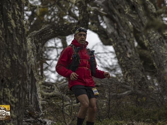 Foto: Alejandro Zoñez