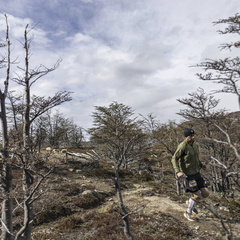 Foto: Alejandro Zoñez