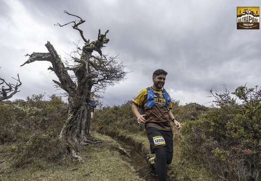 Foto: Alejandro Zoñez