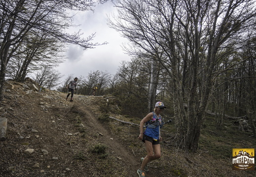 Foto: Alejandro Zoñez