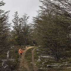 Foto: Alejandro Zoñez