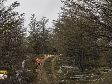 Foto: Alejandro Zoñez