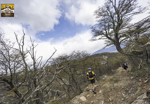 Foto: Alejandro Zoñez