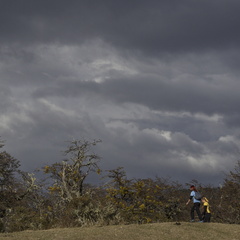 Foto: Alejandro Zoñez