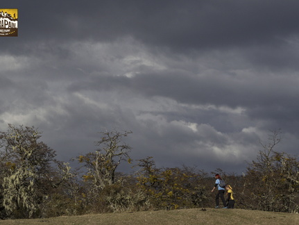 Foto: Alejandro Zoñez