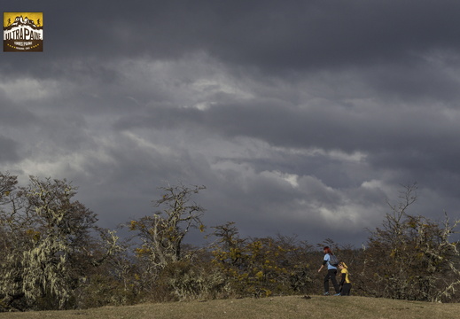 Foto: Alejandro Zoñez