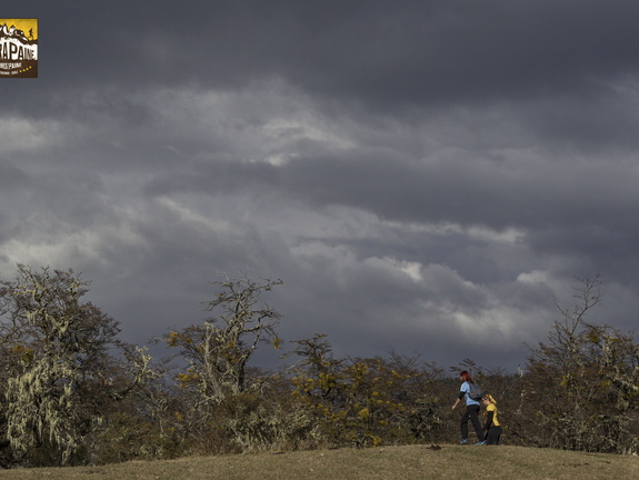 Foto: Alejandro Zoñez