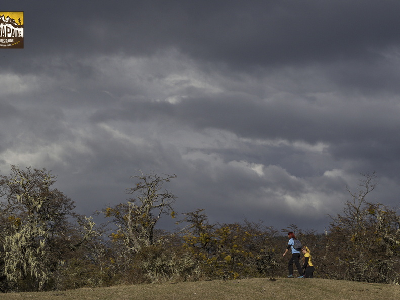 Foto: Alejandro Zoñez