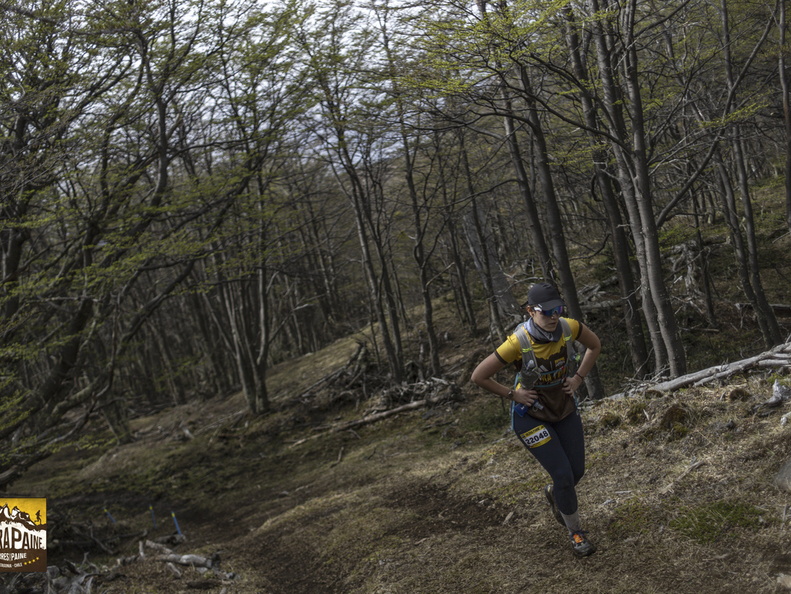 Foto: Alejandro Zoñez