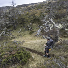 Foto: Alejandro Zoñez