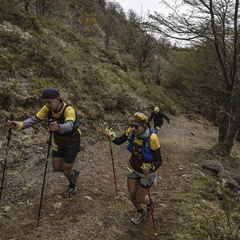 Foto: Alejandro Zoñez