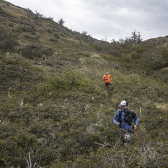 Foto: Alejandro Zoñez