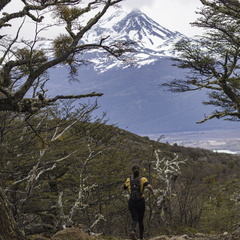 Foto: Alejandro Zoñez