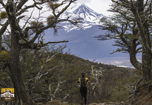 Foto: Alejandro Zoñez