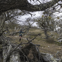 Foto: Alejandro Zoñez