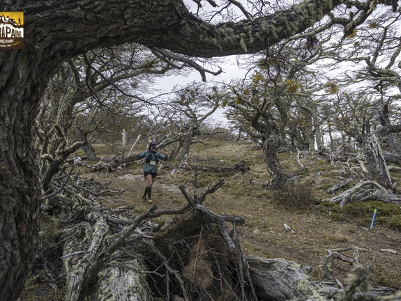 Foto: Alejandro Zoñez