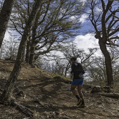 Foto: Alejandro Zoñez