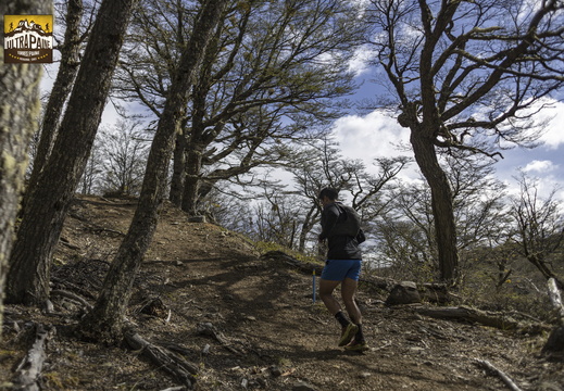 Foto: Alejandro Zoñez