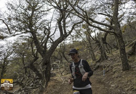 Foto: Alejandro Zoñez