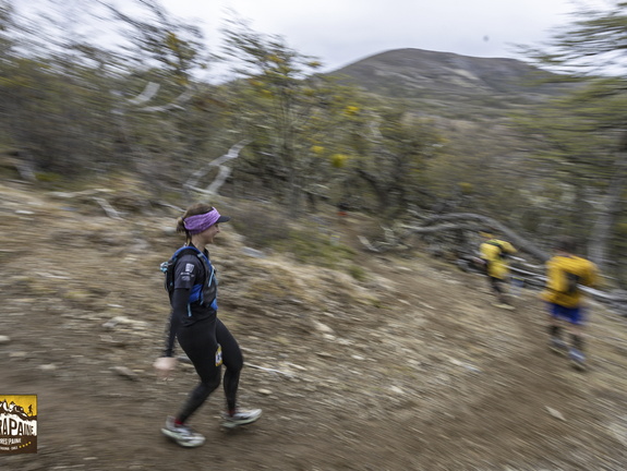 Foto: Alejandro Zoñez