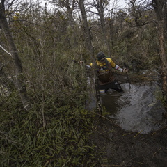 Foto: Alejandro Zoñez