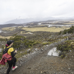 Foto: Alejandro Zoñez