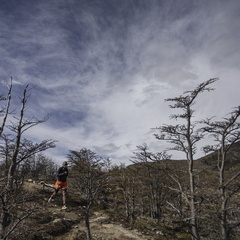 Foto: Alejandro Zoñez